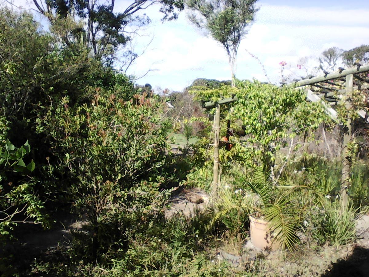 Forest Cove Cottage Knysna Eksteriør billede